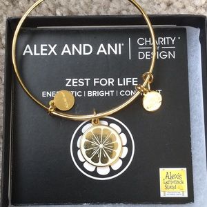 Alex and ani bracelet